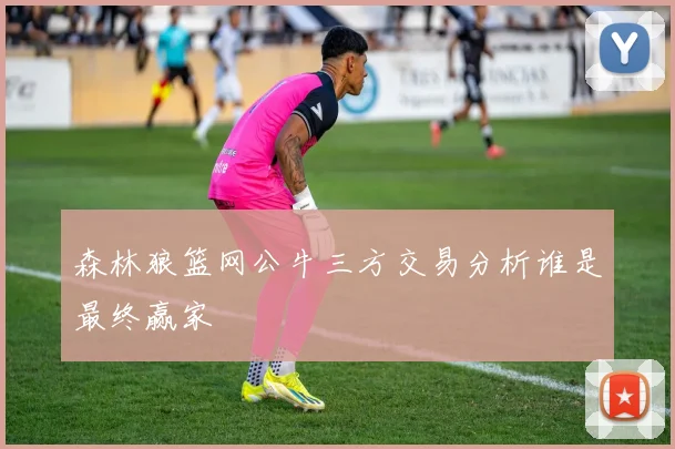 森林狼篮网公牛三方交易分析谁是最终赢家