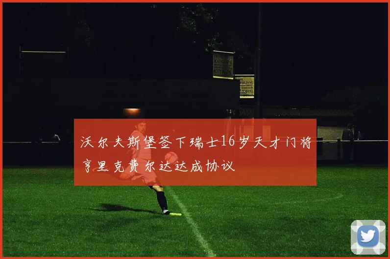 沃尔夫斯堡签下瑞士16岁天才门将亨里克费尔达达成协议