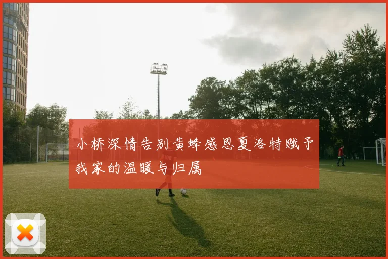 小桥深情告别黄蜂感恩夏洛特赋予我家的温暖与归属